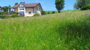  B&B Quartenoud  Трейво